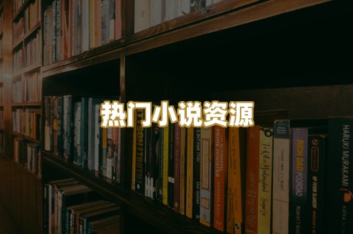 热门小说资源